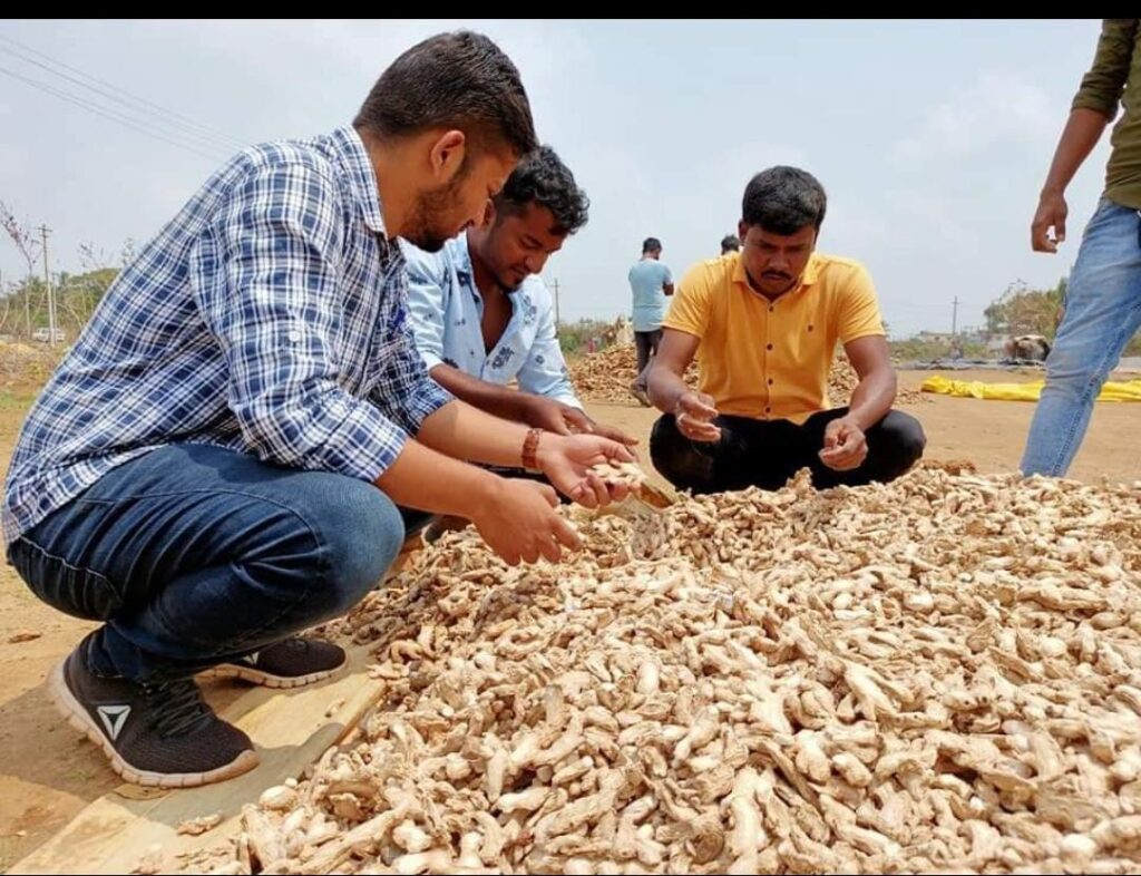 agricultural export consultancy India