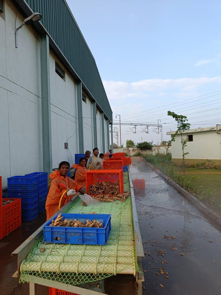 export products handled by export consultant India