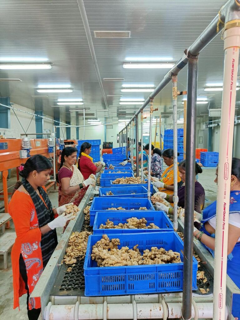 multi product export handling India