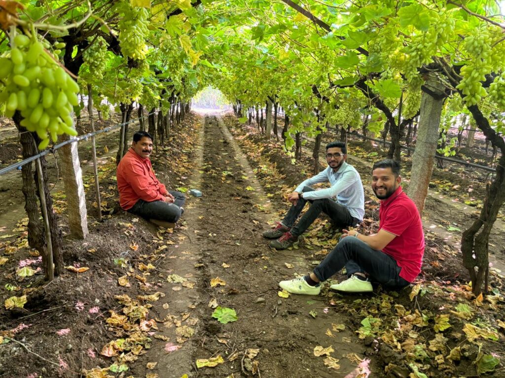 commodities export consultancy India