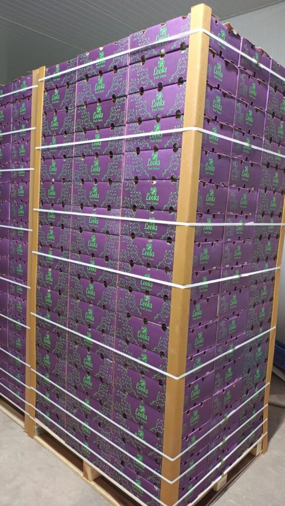 commodities export consultancy India