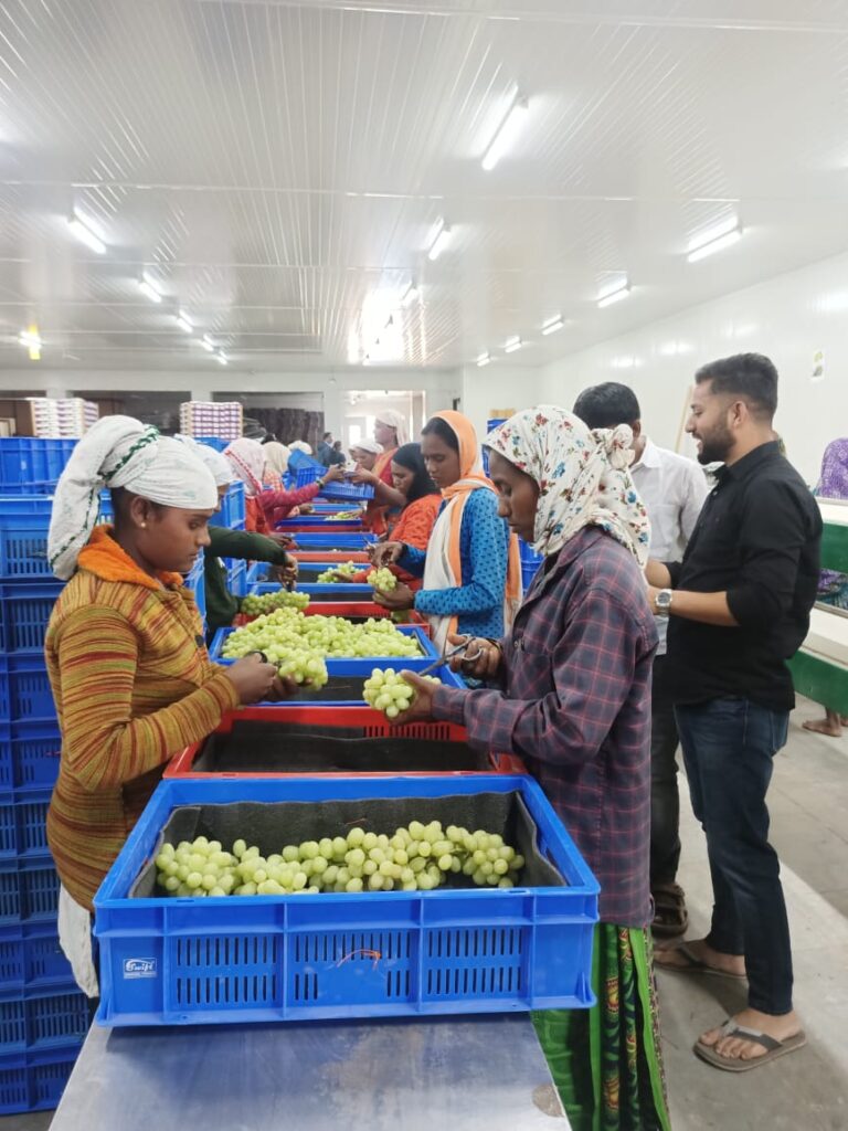 commodities export consultancy India