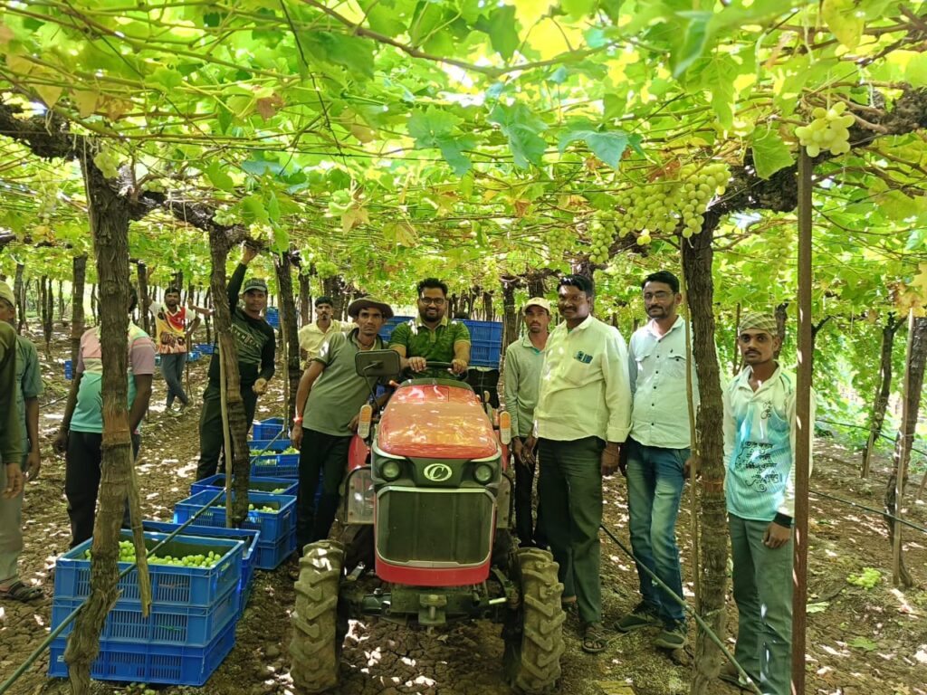 commodities export consultancy India