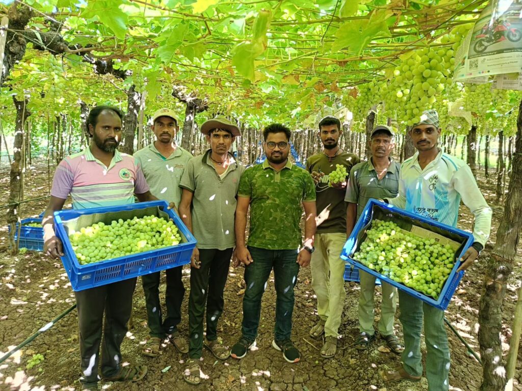 commodities export consultancy India