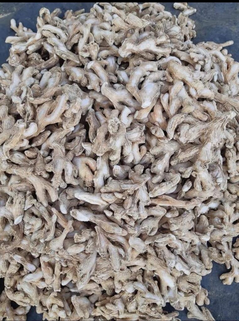 export products handled by export consultant India